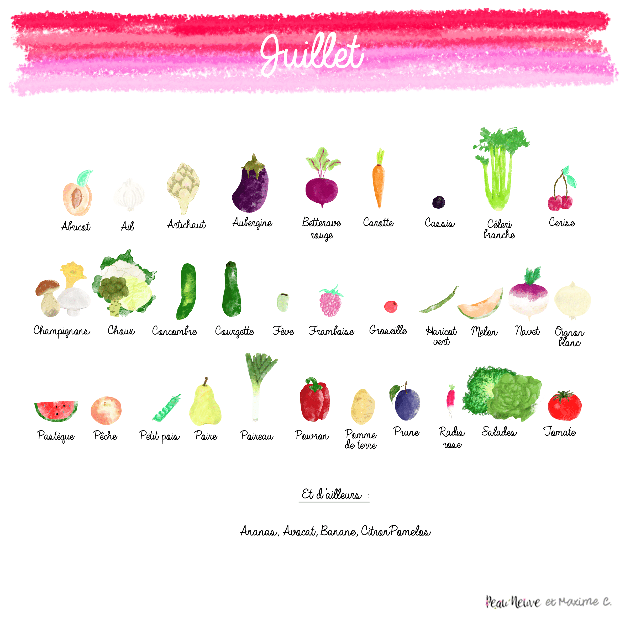 calendrier fruits et légumes de saison le cerf volant