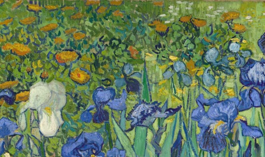 Les coups de pinceaux et de folie de Vincent Van Gogh (partie 2).