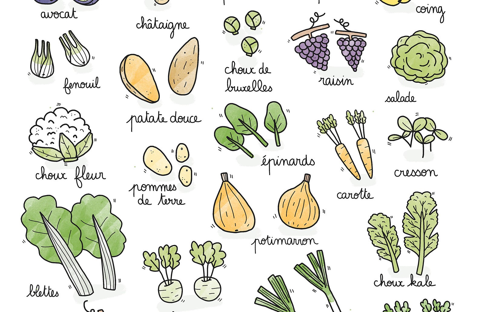 calendrier fruits et légumes de saison le cerf volant