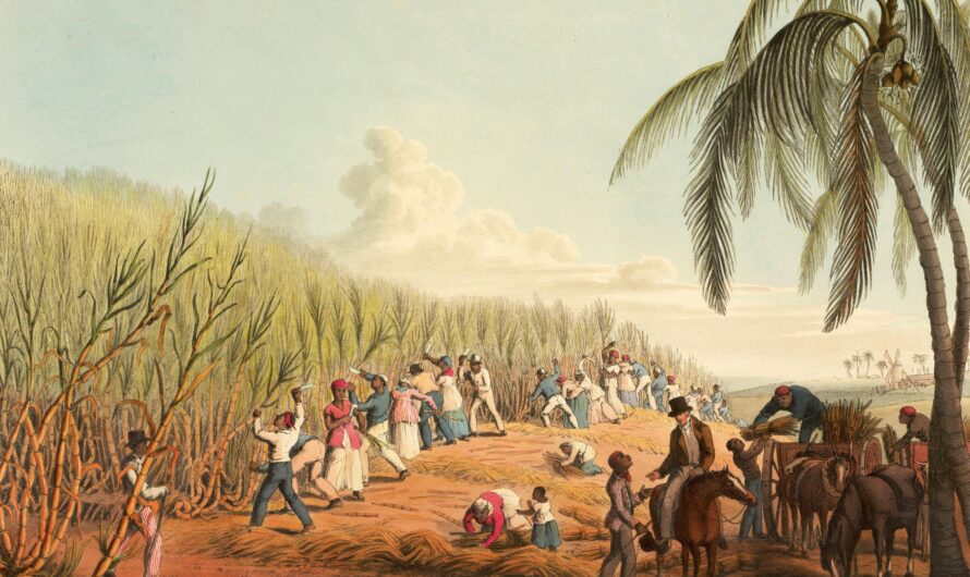 L’histoire de l’esclavage dans les colonies françaises : l’enfer sous les tropiques