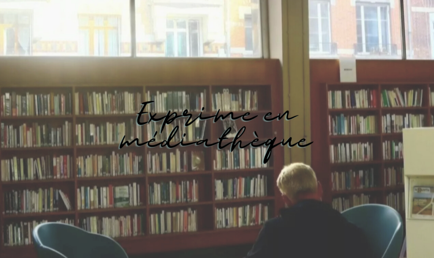 Retours d&rsquo;expériences en médiathèques