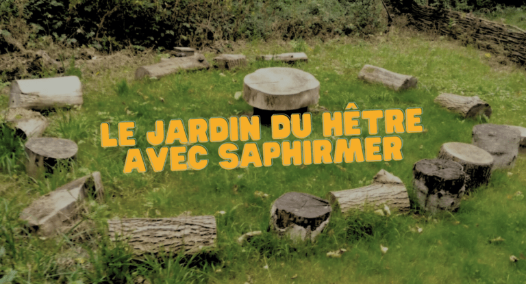 Le jardin du hêtre, un souffle de nature entre les briques