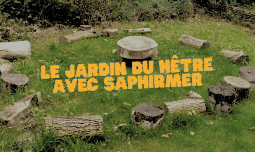 Le jardin du hêtre, un souffle de nature entre les briques