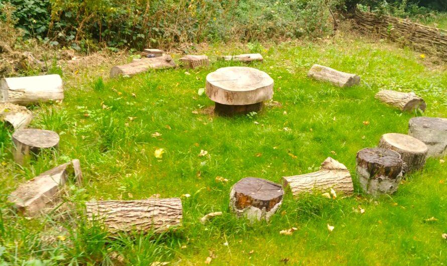 Le jardin du hêtre, un souffle de nature entre les briques