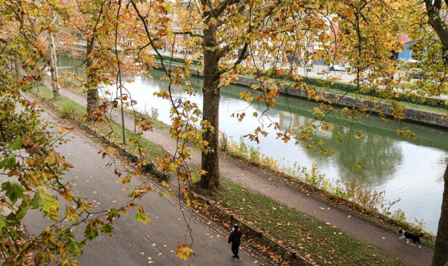La Citadelle de Lille : l&rsquo;histoire tumultueuse du poumons vert lillois