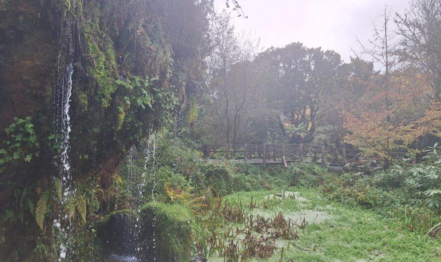 Carte postale : un château magique en Irlande