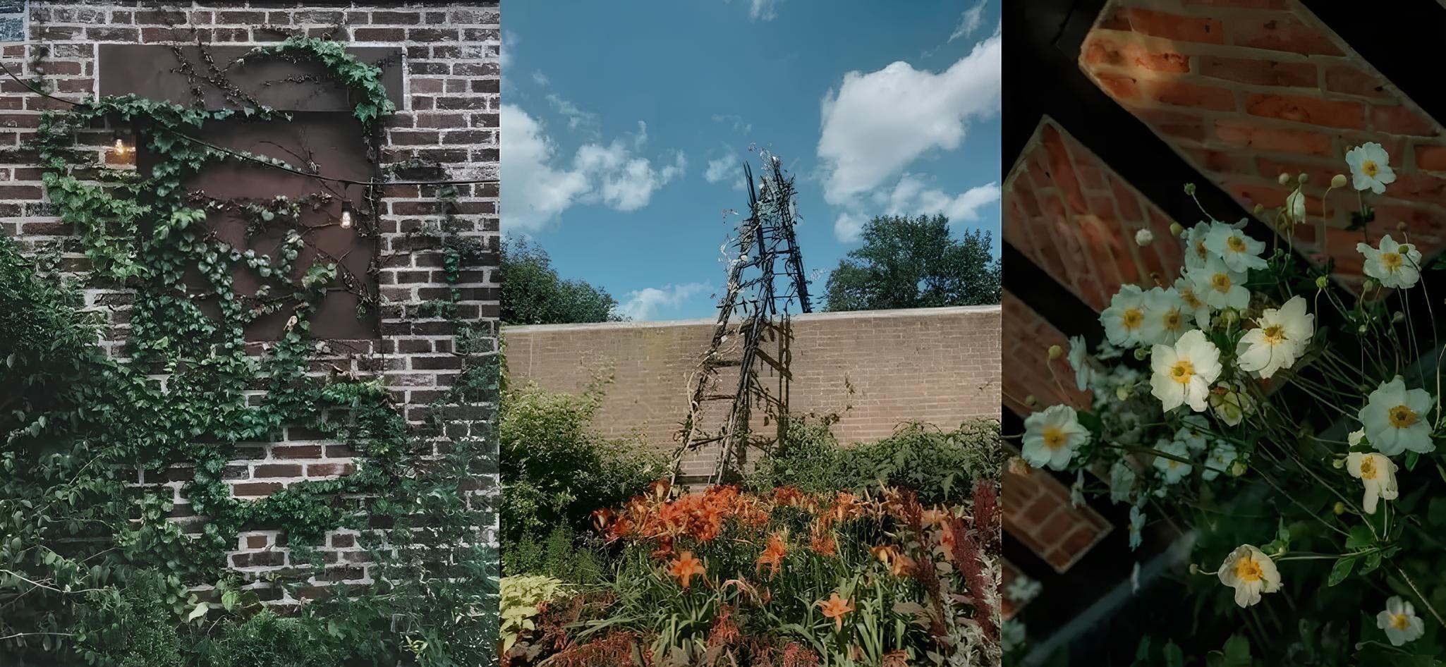 Des mots en Nord – #1 Lucien Suel