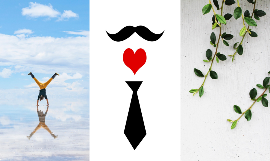 Des mots en Nord – #3 Mario Alonso