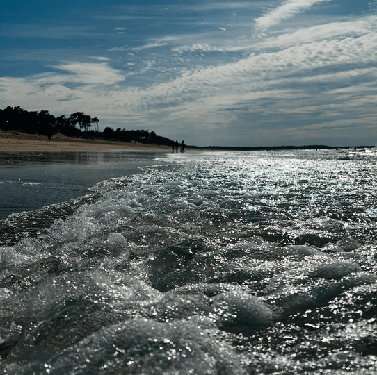Écume de mer en fin de vague, sur une plage. Au loin, des arbres et des 