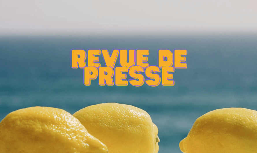 Revue de presse #1